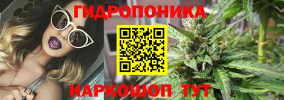 твердый Новокубанск